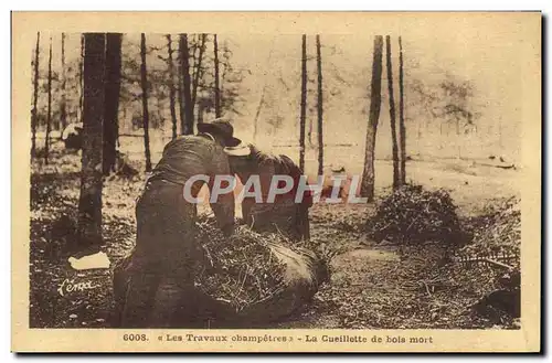 Cartes postales Folklore Travaux champetres La cueillette de bois mort