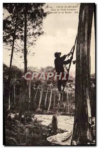 Ansichtskarte AK Folklore Cote d&#39Argent Dans la foret landaise La recolte de la resine