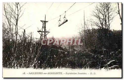 Cartes postales Saulxures sur Moselotte Exploitation forestiere