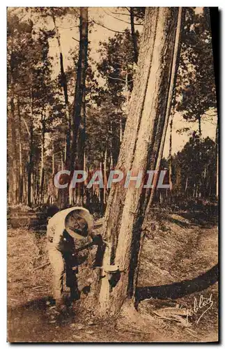 Cartes postales Association syndicale des Proprietaires forestiers de la partie sud de la Charente