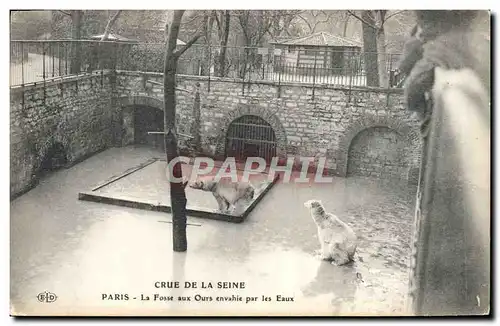 Ansichtskarte AK Ours Paris Crue de la Seine La fosse aux ours envahie par les eaux