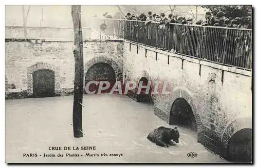 Cartes postales Ours Paris Crue de la Seine Jardin des plantes Martin tres ennuye