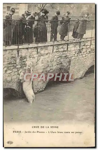 Cartes postales Ours Paris Crue de la Seine Jardin des plantes L&#39ours blanc conte ses peines