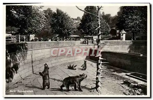 Cartes postales Ours Bern Barengraben