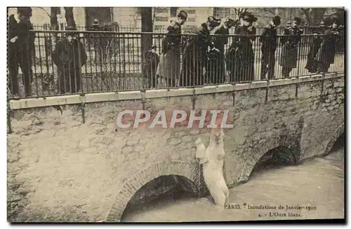 Cartes postales Ours Paris Inondations de Janvier 1910 L&#39ours blanc
