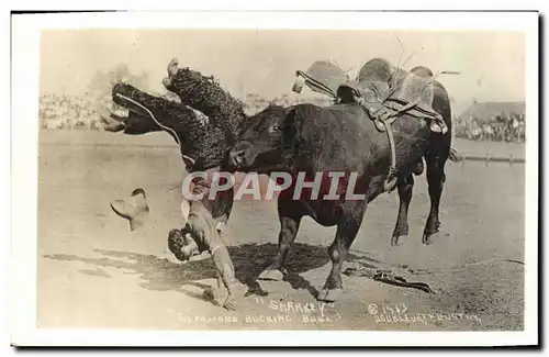 Cartes postales Far West Cow Boy Indiens Sharkey The famous Bucking Bull Taureau Rodeo