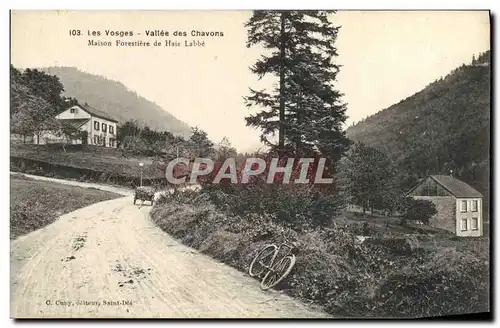 Cartes postales Foret Vosges Vallee des Chavons Maison forestiere de Haie Labbe