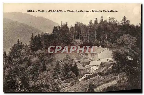 Cartes postales Foret Ballon d&#39Alsace Plain du Canon Maison forestiere
