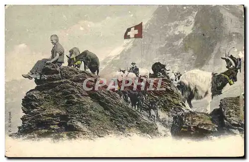 Ansichtskarte AK Chevre Chevrier Enfant Suisse