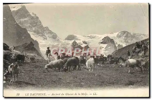 Ansichtskarte AK Chevre Le Dauphine Au bord du glacier de la Meije