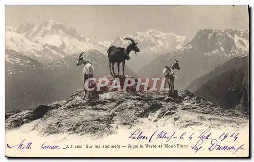 Cartes postales Chevre Sur les sommets Aiguille verte et Mont Blanc