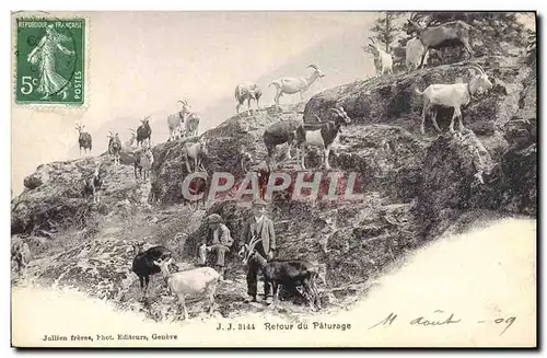 Cartes postales Chevre Retour du paturage