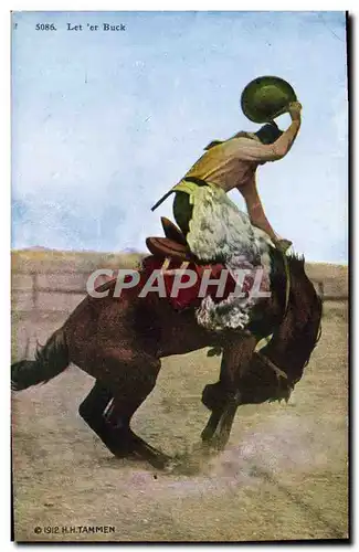 Cartes postales Far West Cow Boy Rodeo Let er Buck