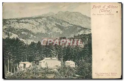 Cartes postales Foret d&#39Aitone Corse Corsica Les maisons forestieres
