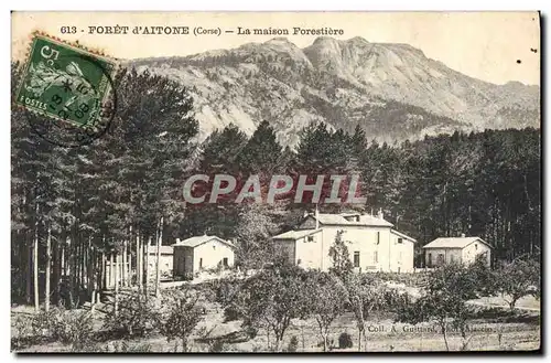 Cartes postales Foret d&#39Aitone Corse Corsica La maison forestiere
