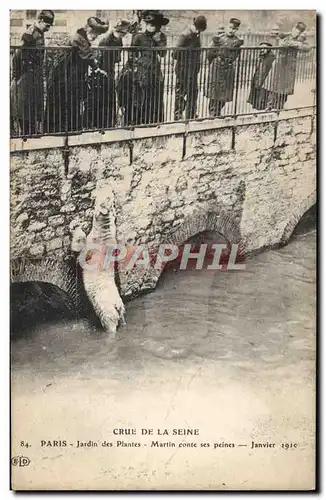 Ansichtskarte AK Ours Crue de la Seine Paris Jardin des plantes Martin conte ses peines Janvier 1910