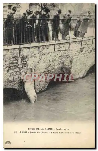 Ansichtskarte AK Ours Crue de la Seine Paris Jardin des plantes Martin conte ses peines Janvier 1910