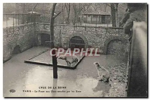 Ansichtskarte AK Ours Crue de la Seine Paris La fosse aux ours envahie par les eaux