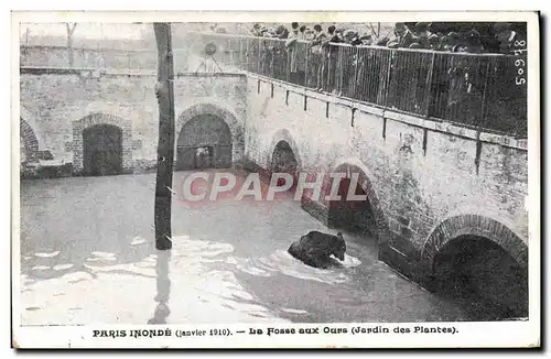 Ansichtskarte AK Ours Paris inonde La fosse aux ours Jardin des plantes