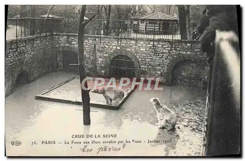 Ansichtskarte AK Ours Crue de la Seine Paris La fosse aux ours envahie par les eaux Janvier 1910