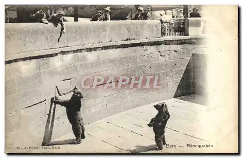 Cartes postales Ours Bern Barengraben