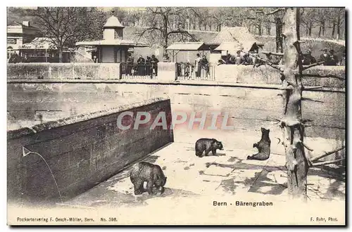 Cartes postales Ours Bern Barengraben