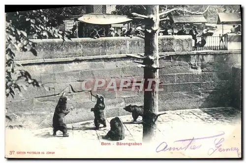 Cartes postales Ours Bern Barengraben