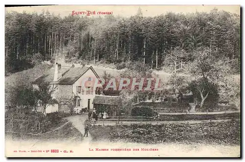 Cartes postales Saint Die La maison forestiere des molieres