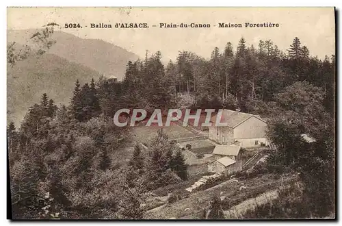 Cartes postales Ballon d&#39Alsace Plain du Canon maison forestiere