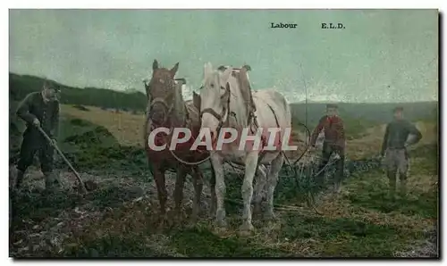 Cartes postales Labour Chevaux