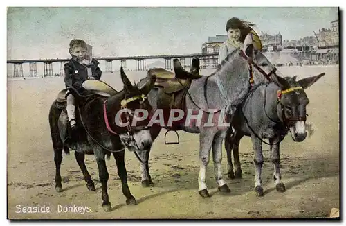 Cartes postales Ane Mule Seaside donkeys