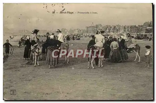 Cartes postales Ane Mule Berck Plage Promenade a anes