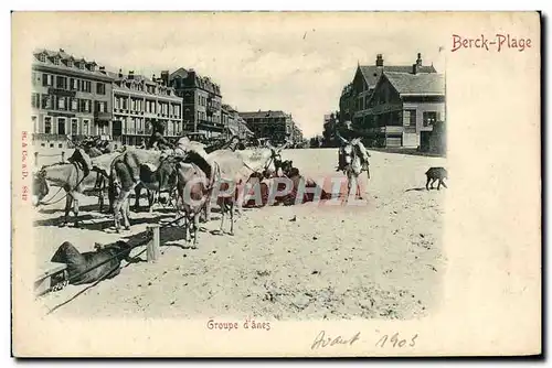 Cartes postales Ane Mule Berck plage Groupe d&#39anes