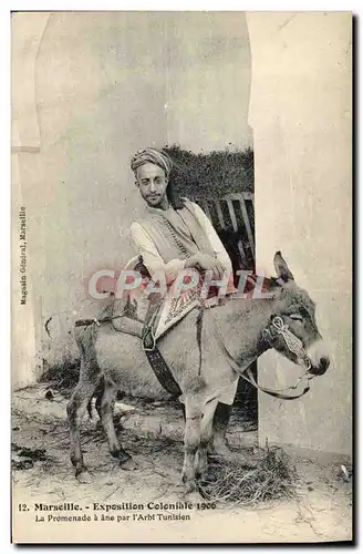 Ansichtskarte AK Ane Mule Marseille Exposition coloniale 1906 La promenade a ane par l&#39Arbi Tunisien