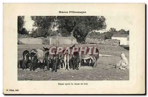 Cartes postales Ane Mule Maroc Repos apres la venue de bois