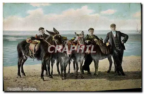 Cartes postales Ane Mule Seaside Donkeys