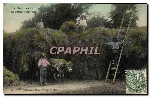 Cartes postales Folklore La vie aux champs La derniere charretee Attelage Boeufs