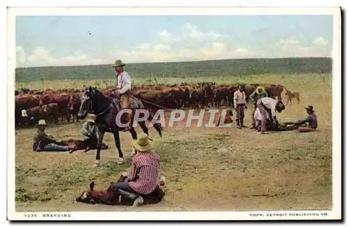 Ansichtskarte AK Cowboy Branding Vaches