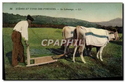 Cartes postales Folklore Le labourage Boeufs