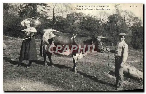 Ansichtskarte AK Folklore Scenes de la vie normande Visite a la ferme Apres la traite Vache