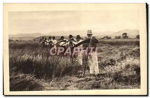 Cartes postales Folklore Faucheurs