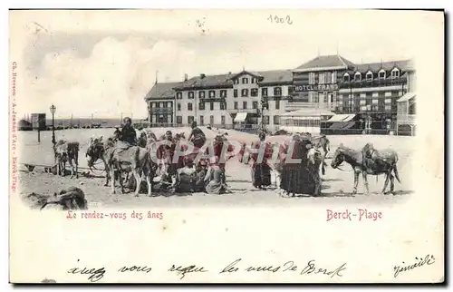 Cartes postales Ane Mule Berck Plage Le rendez vous des anes