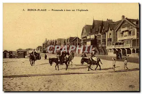 Cartes postales Ane Mule Berck Plage Promenade a anes sur l&#39esplanade