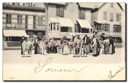 Cartes postales Ane Mule Berck Plage Les anes