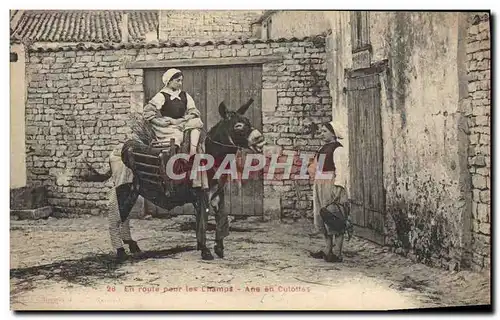 Cartes postales Ane Mule En route pour les champs Ane en culottes