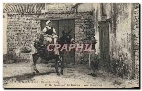 Cartes postales Ane Mule En route pour les champs Ane en culotte