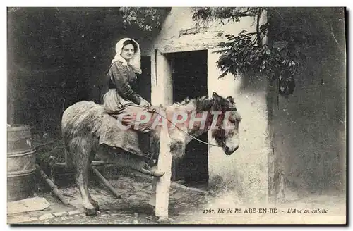 Cartes postales Ane Mule Ile de Re Ars en Re L&#39ane en culotte