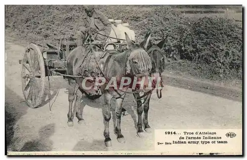 Cartes postales Ane Mule Type d&#39attelage de l&#39armee indienne Militaria