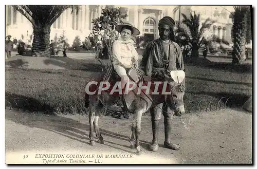 Cartes postales Ane Mule Exposition coloniale de Marseille Type d&#39anier tunisien Enfant