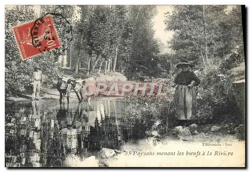 Cartes postales Folklore Paysans menant les boeufs a la riviere